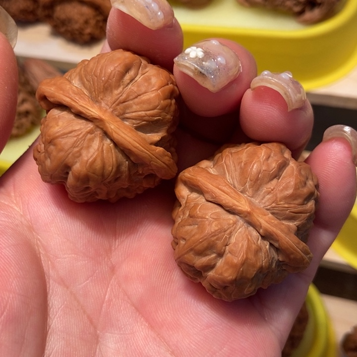 官方网站发布消息