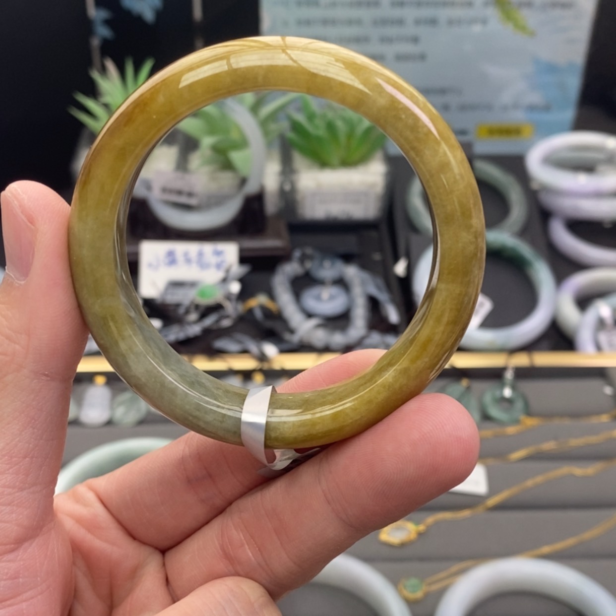 【闪购商品】未镶嵌手镯翡翠翡翠