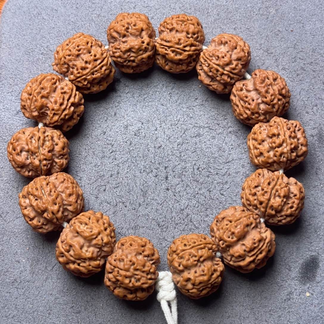 菩提2号金刚菩提深沟五爪梅花23