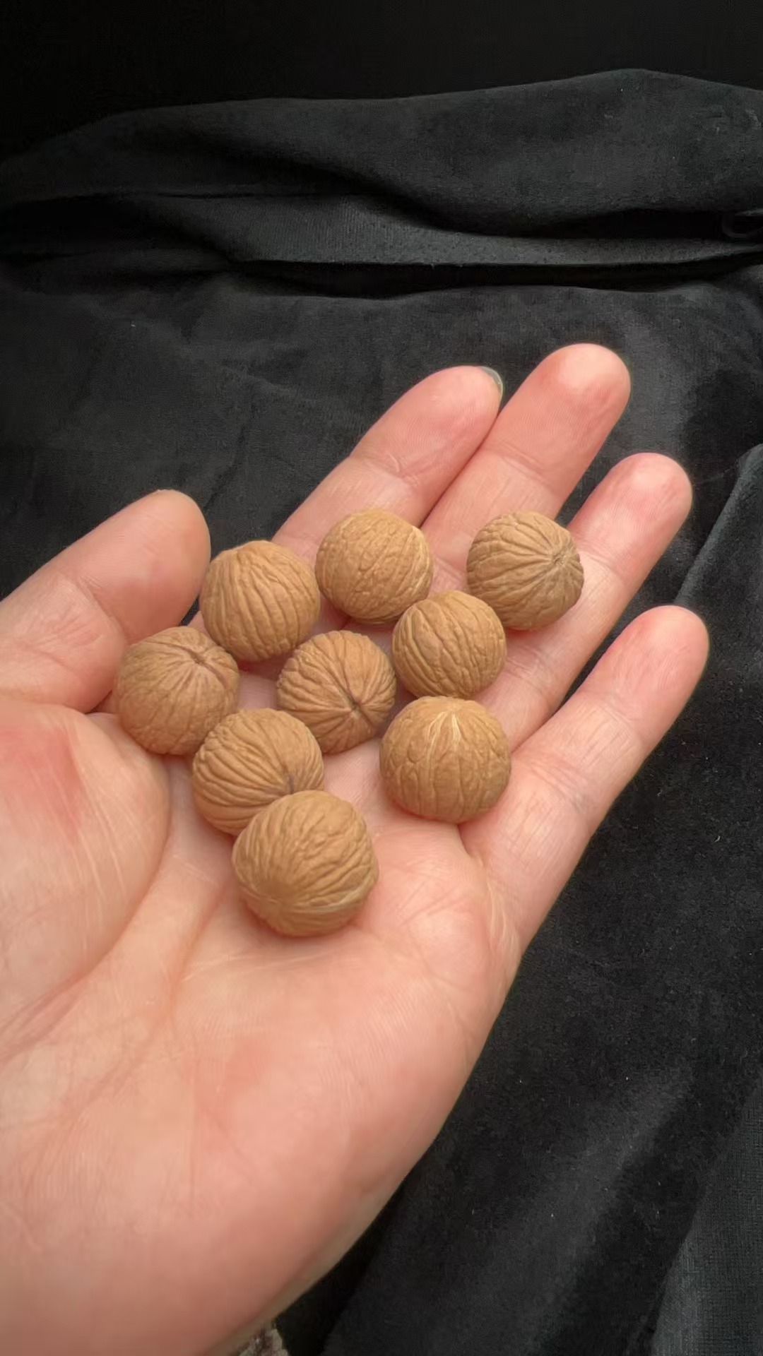 猴头核桃 定制专拍链接（请勿私拍）