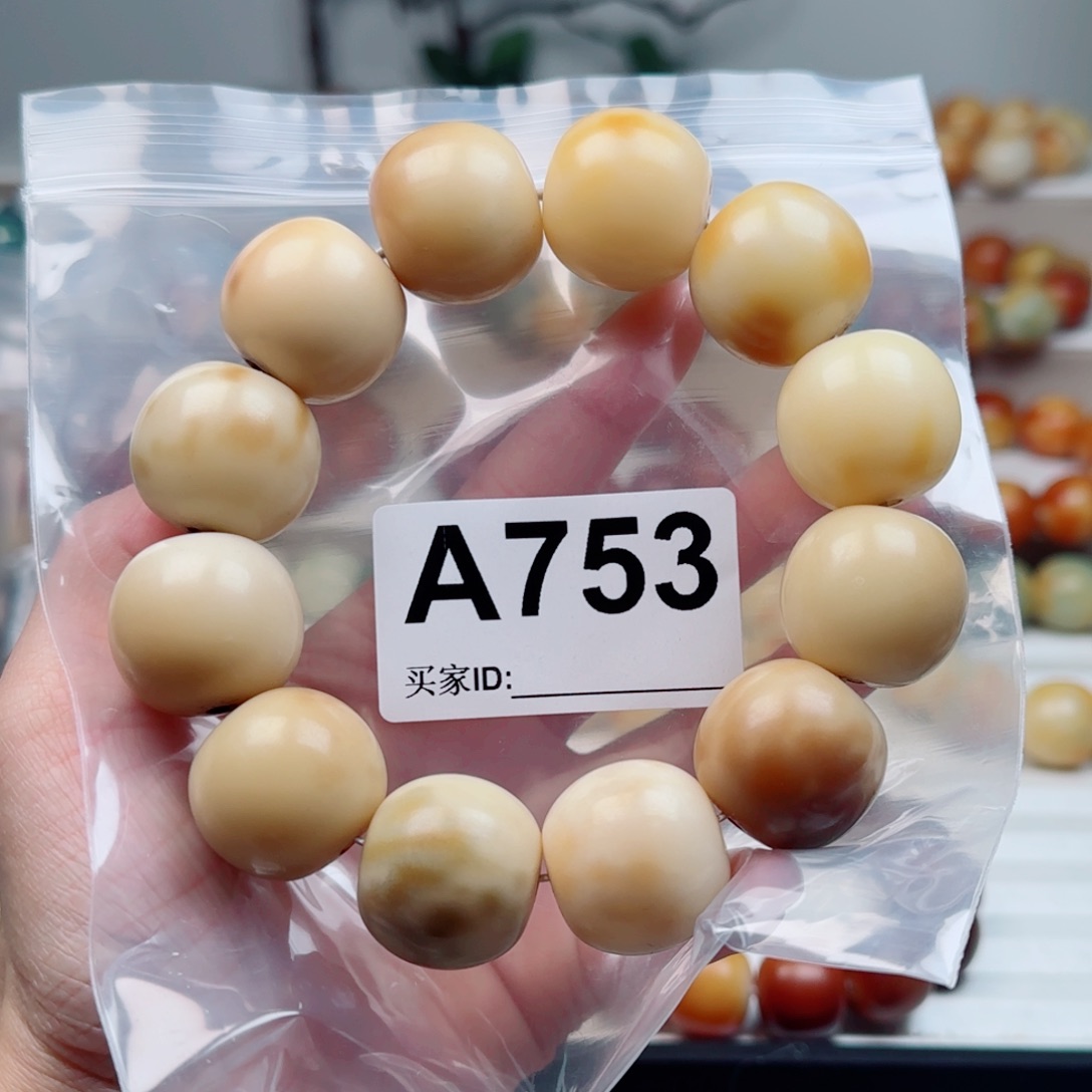 菩提根/象牙果手串24大瑕不退不换。