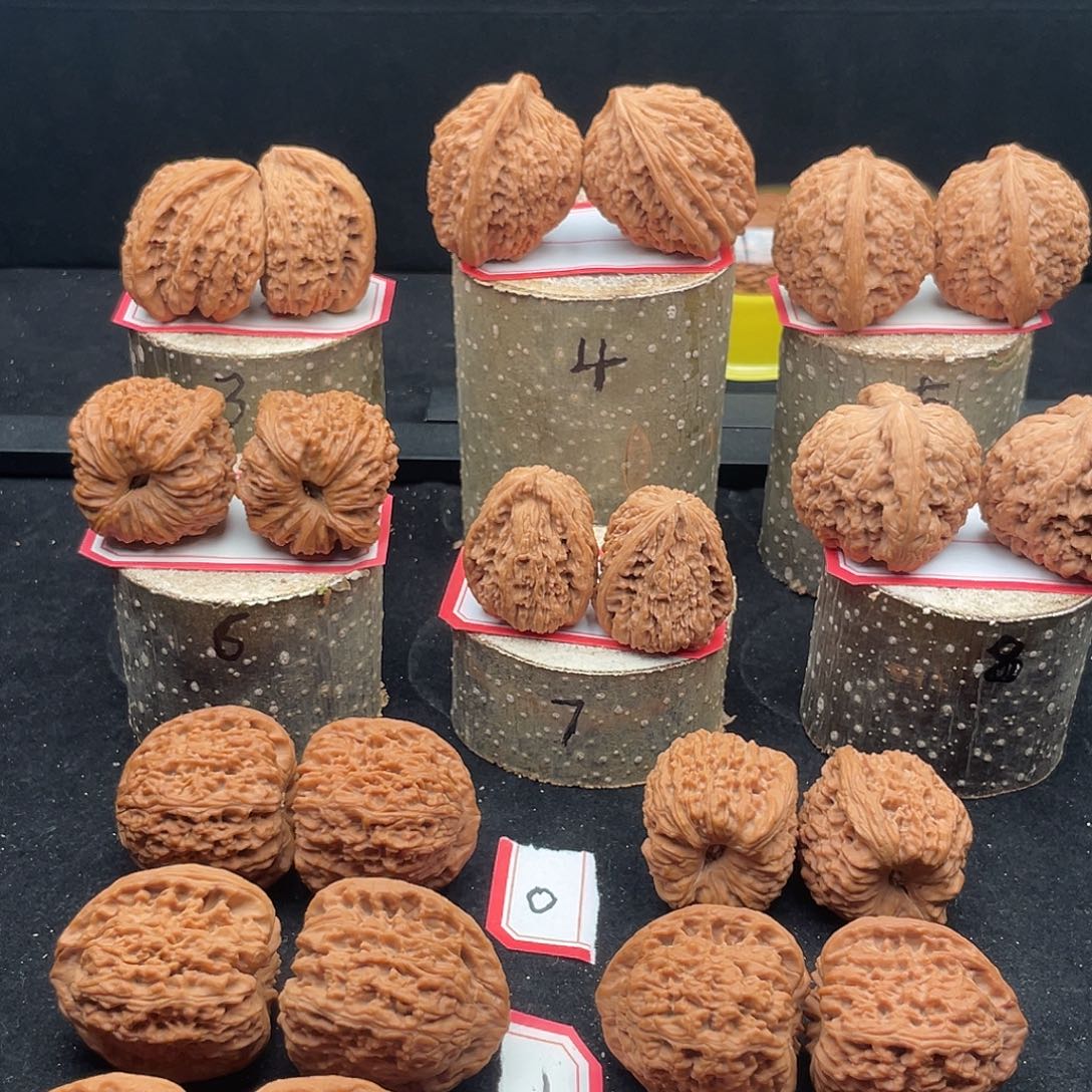 文玩核桃把件李*图南疆核桃手把文玩