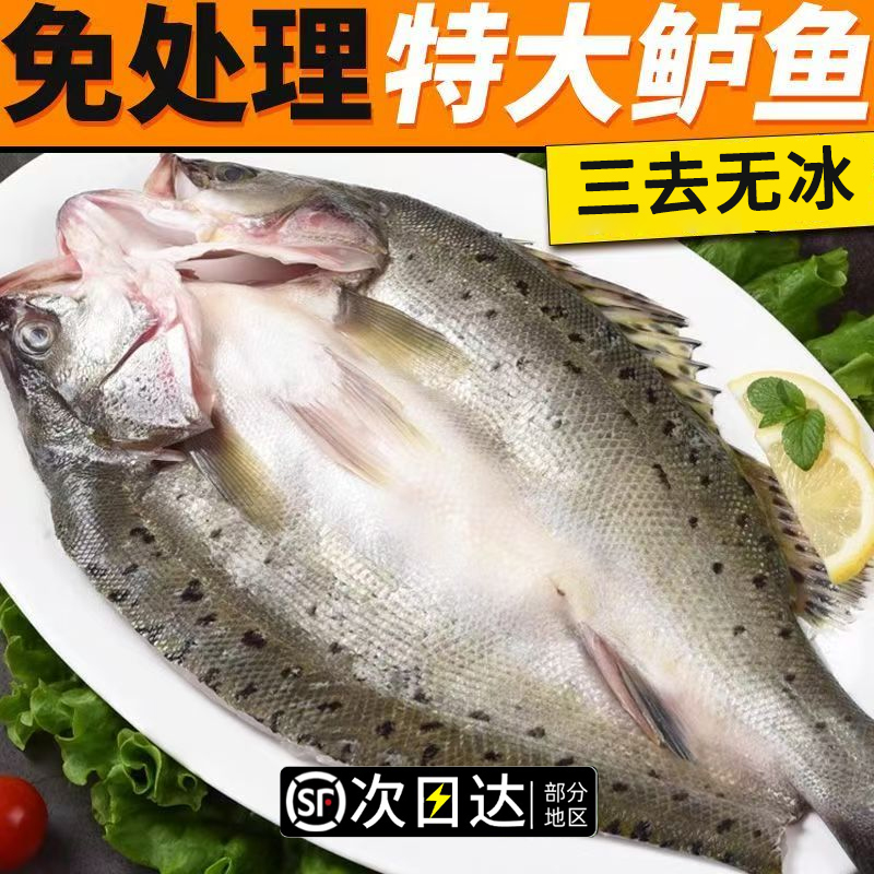 顺丰次日达【3/4条】【开背海鲈鱼】 海鲈鱼新鲜冷冻鲜活深海
