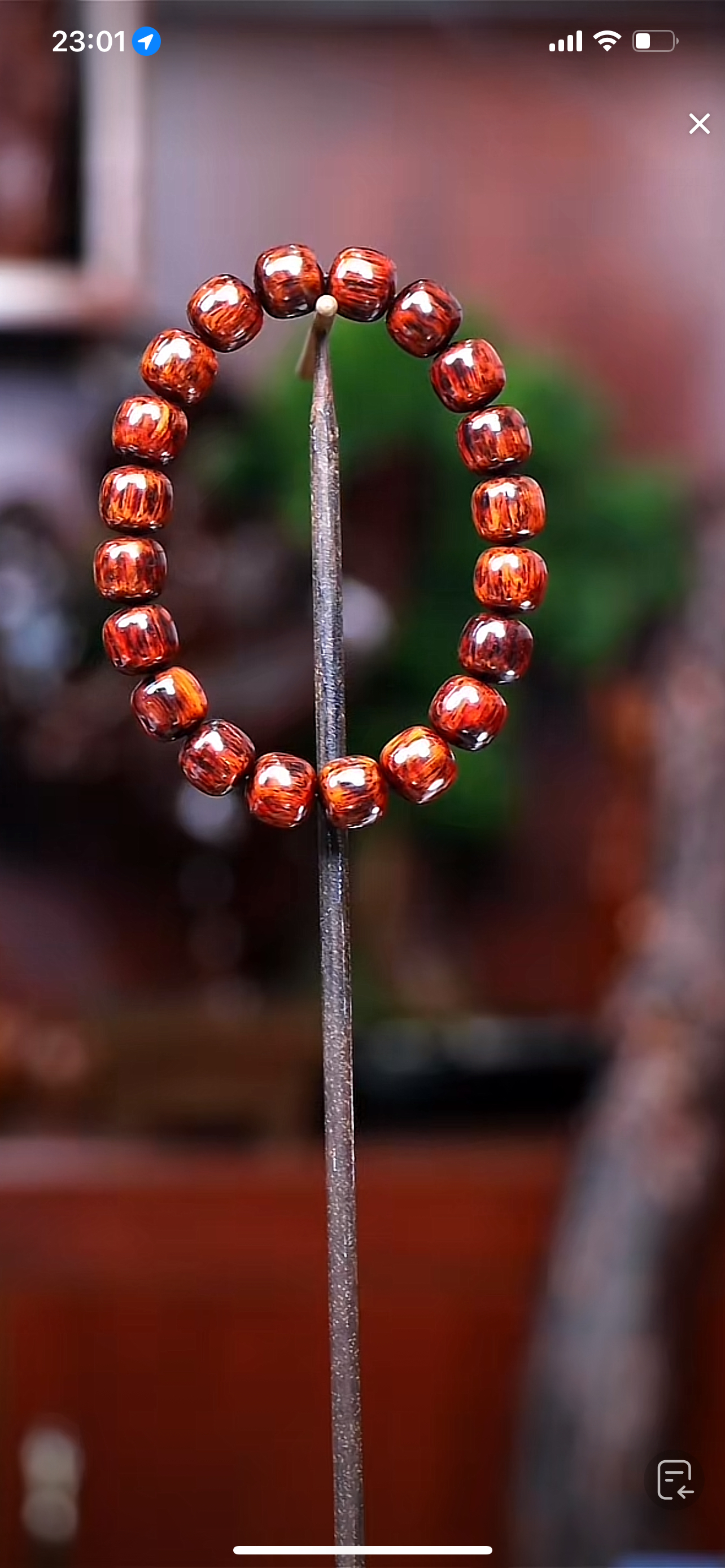 海南红降1.0老型珠