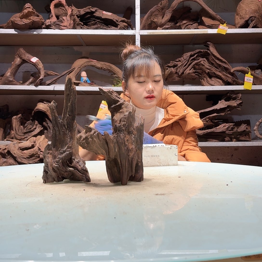 倍褚沉木不包损必褪色牛*王6530-2