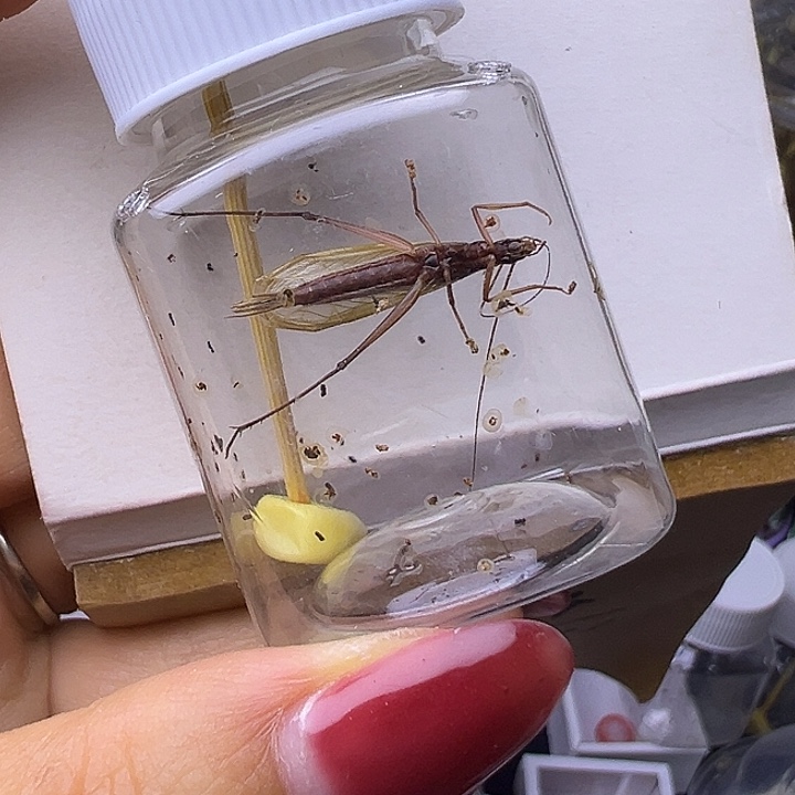 M***Y哈哈哈哈哈哈哈哈哈哈哈