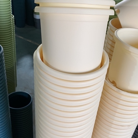 树脂四季2号6个无托米黄