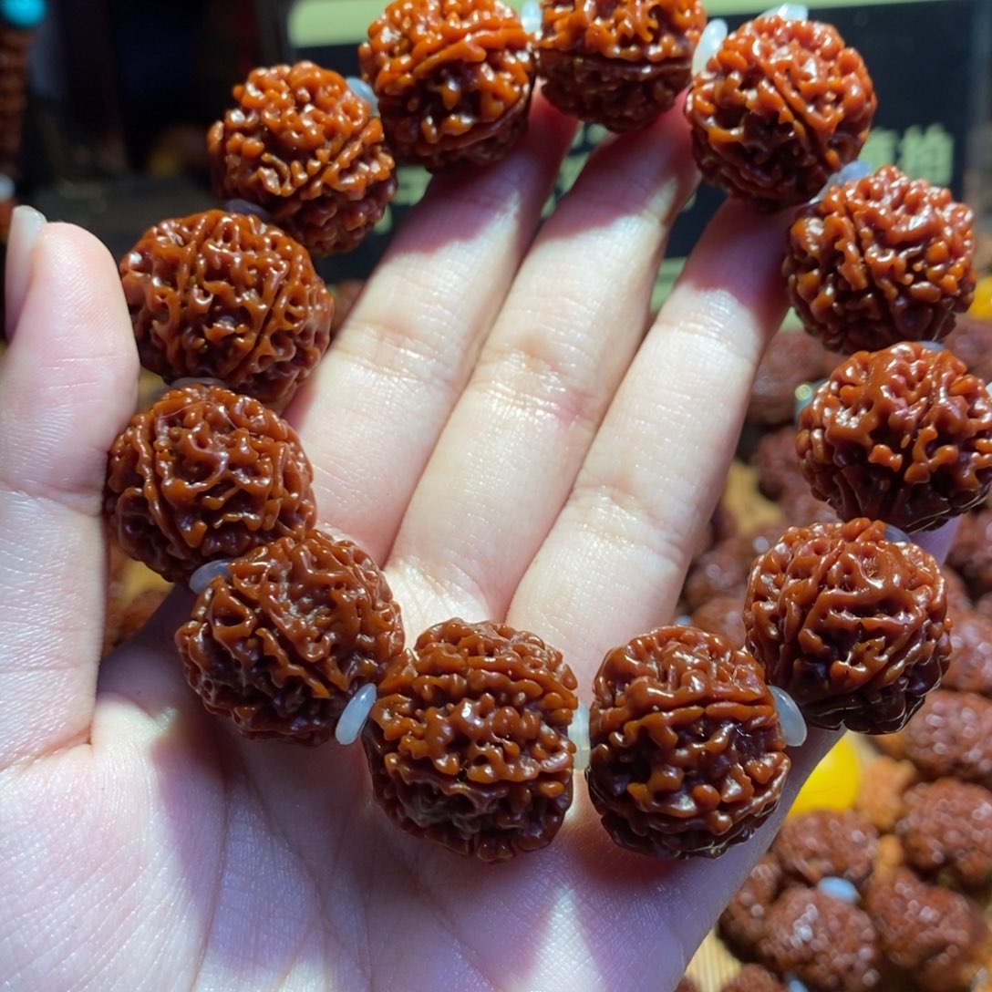 手串金刚菩提226原生态