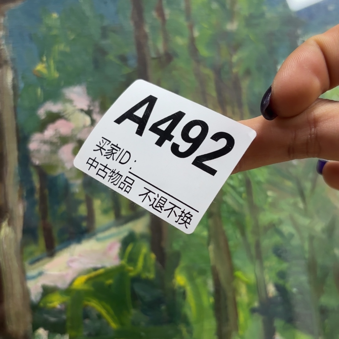 N***内版画492框画油画不退换