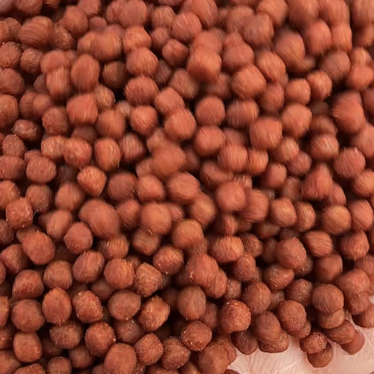 罗汉鱼鹦鹉鱼专用2.5mm颗粒增色饲料袋装手工制作200克介意勿拍