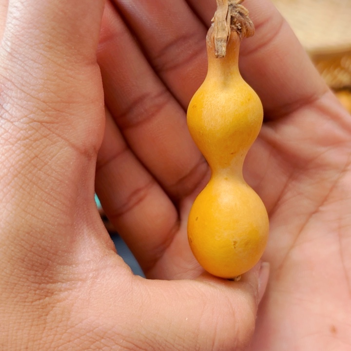 ✨***弟888888888888888888