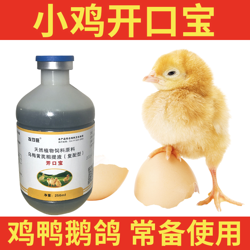 雏鸡开口宝小鸡仔鸡苗芦丁鸡鸭苗鹅苗鹌鹑出壳0到3个月育雏好帮手
