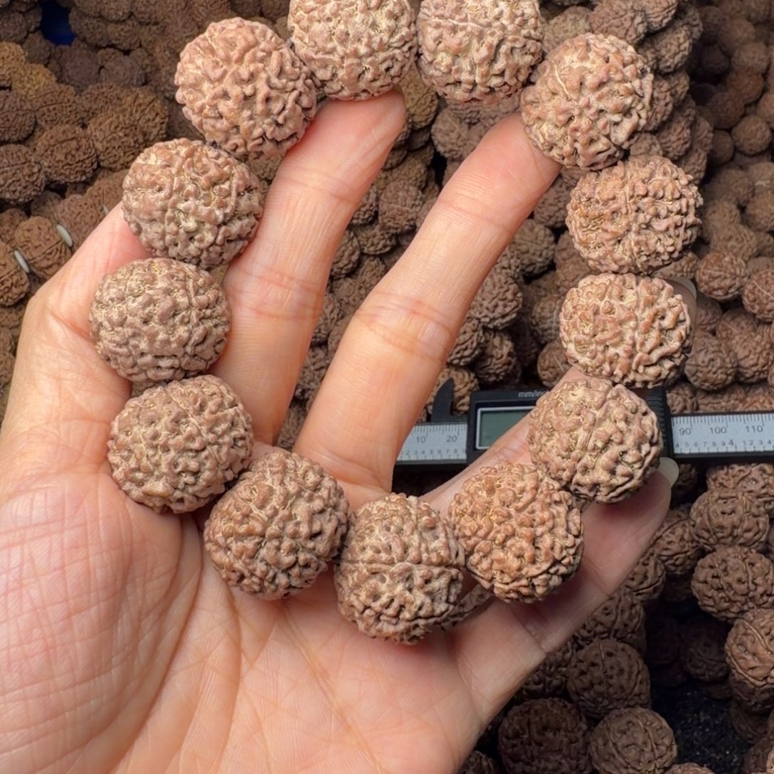 手串金刚菩提7瓣卡22尺，63号