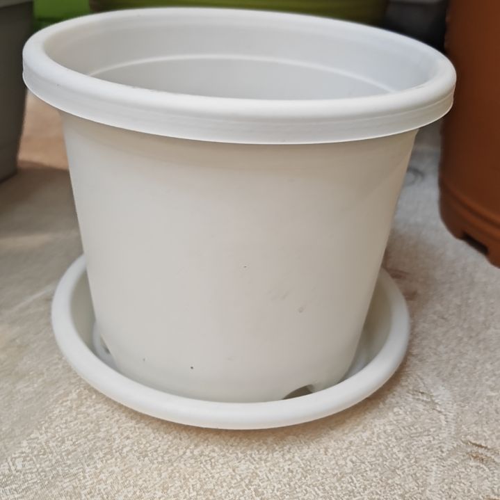 树脂四季盆外口径17，白色带托10个