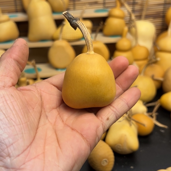 协****生葫芦葫芦葫芦葫芦葫芦葫芦