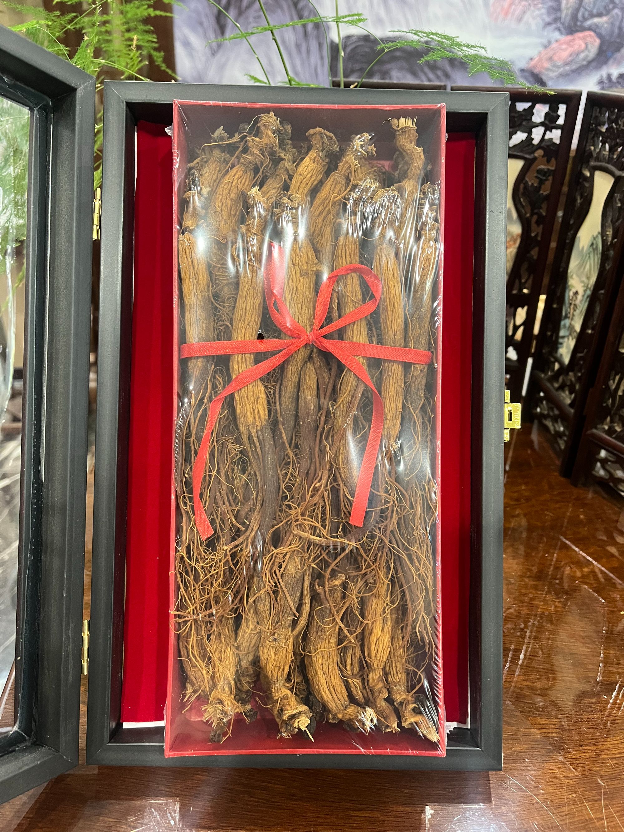 长白山林下红参 （趴货）全须 500克 礼盒装  35枝头， 55枝头 6年陈