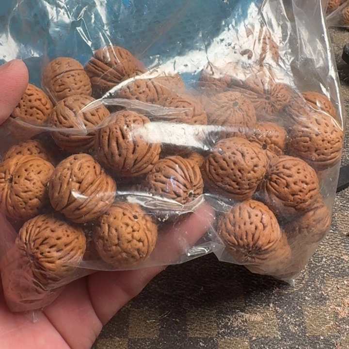 半***人桃核吊坠6666666666666