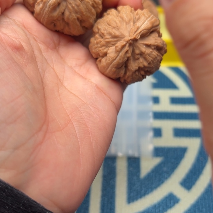 桃核吊坠文玩霸王龙