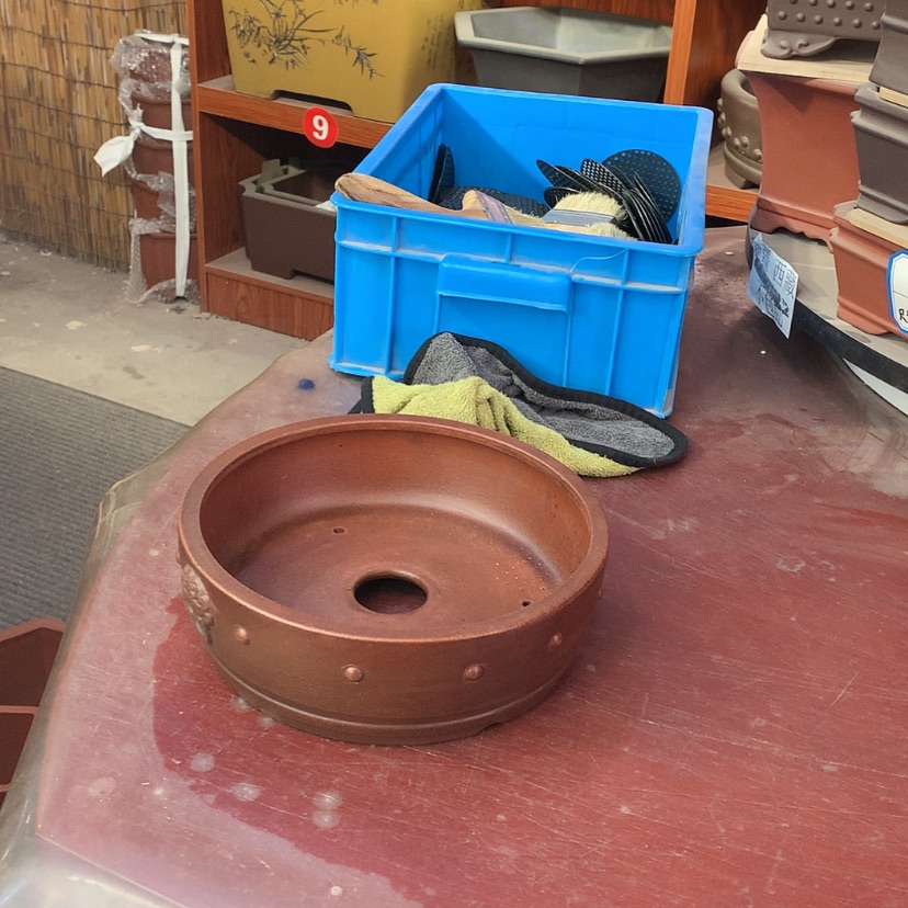 【闪购商品】紫砂ℳ****