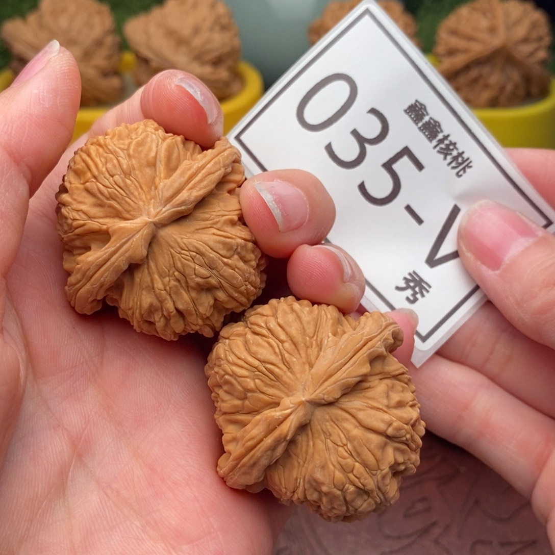 文玩核桃把件白狮40