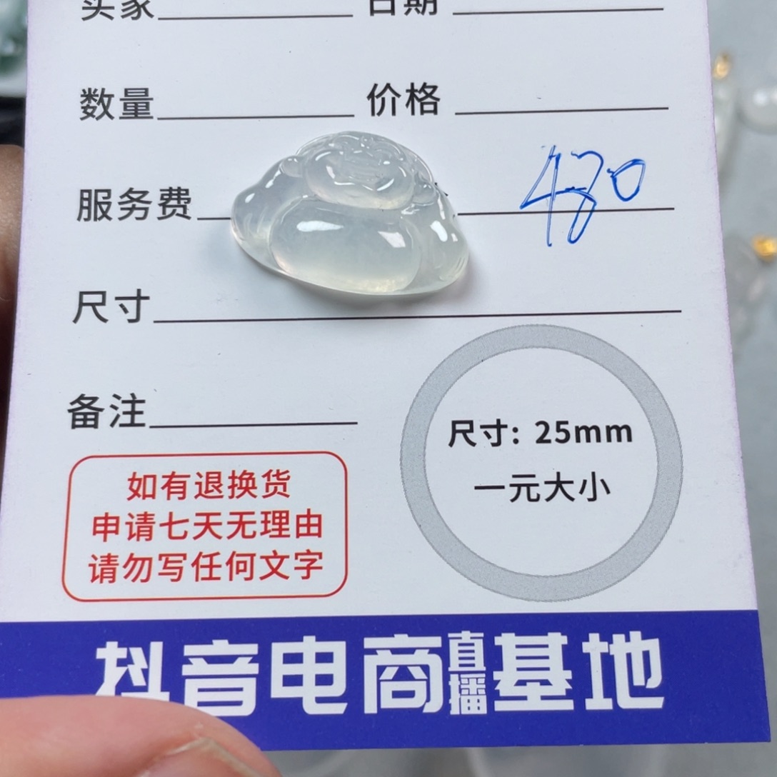 翡翠颈饰未镶嵌09841翡翠