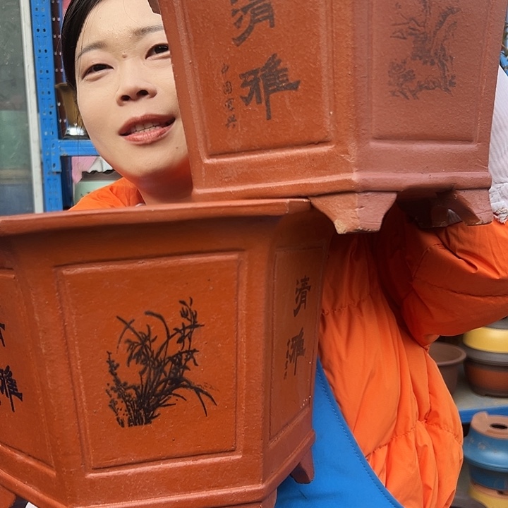 25+25红清雅六方花盆花盆花盆