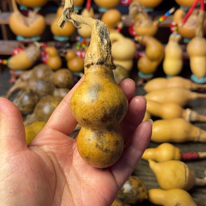 中***邢花皮葫芦天天开心