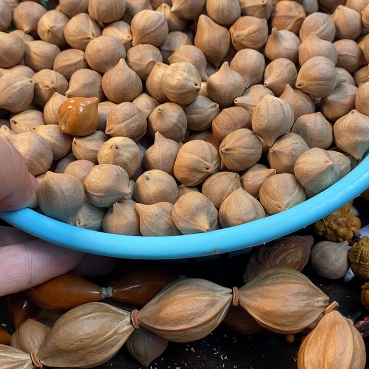 存****】2斤左右右哼哼