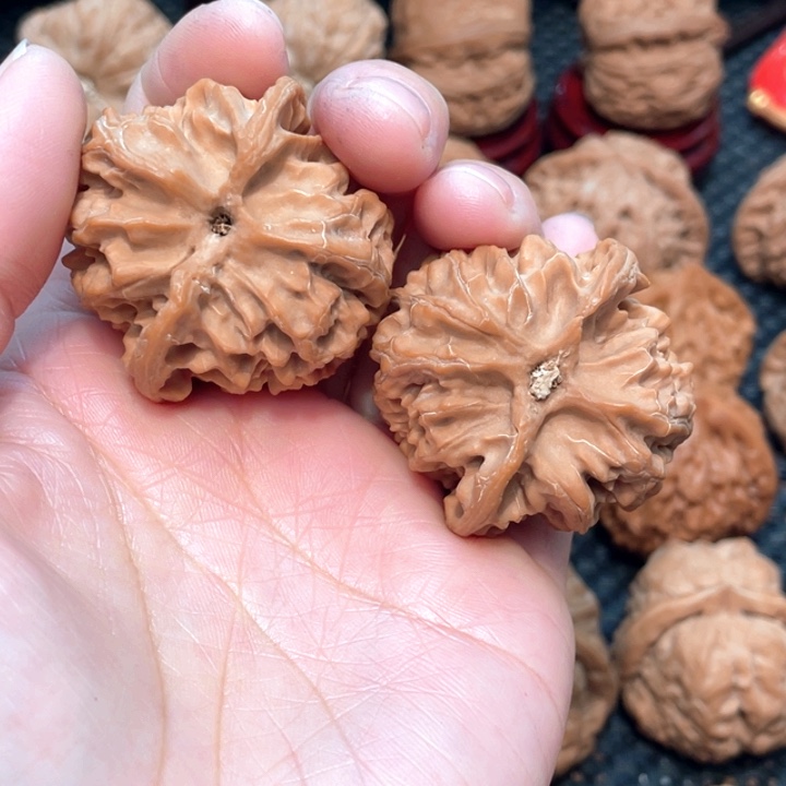 暴**坏原装苹果园4.1全品无修。