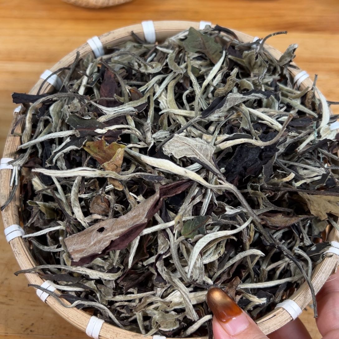 壶40号白云推荐推荐