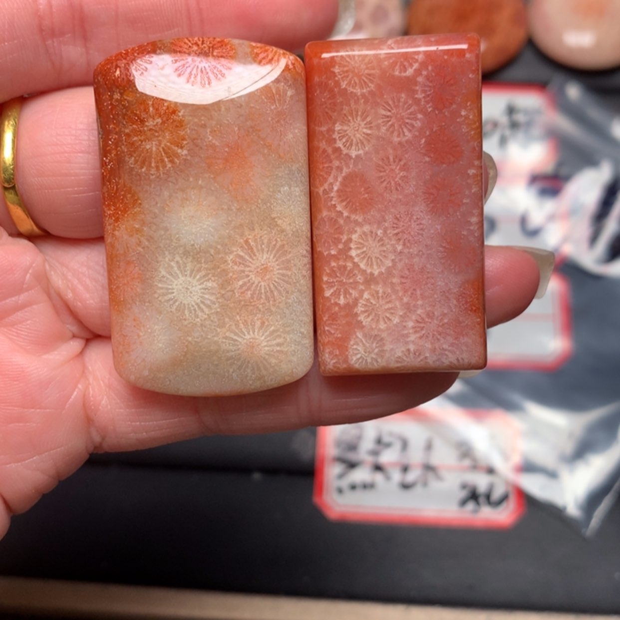 【闪购商品】硅化玉颈饰未镶嵌