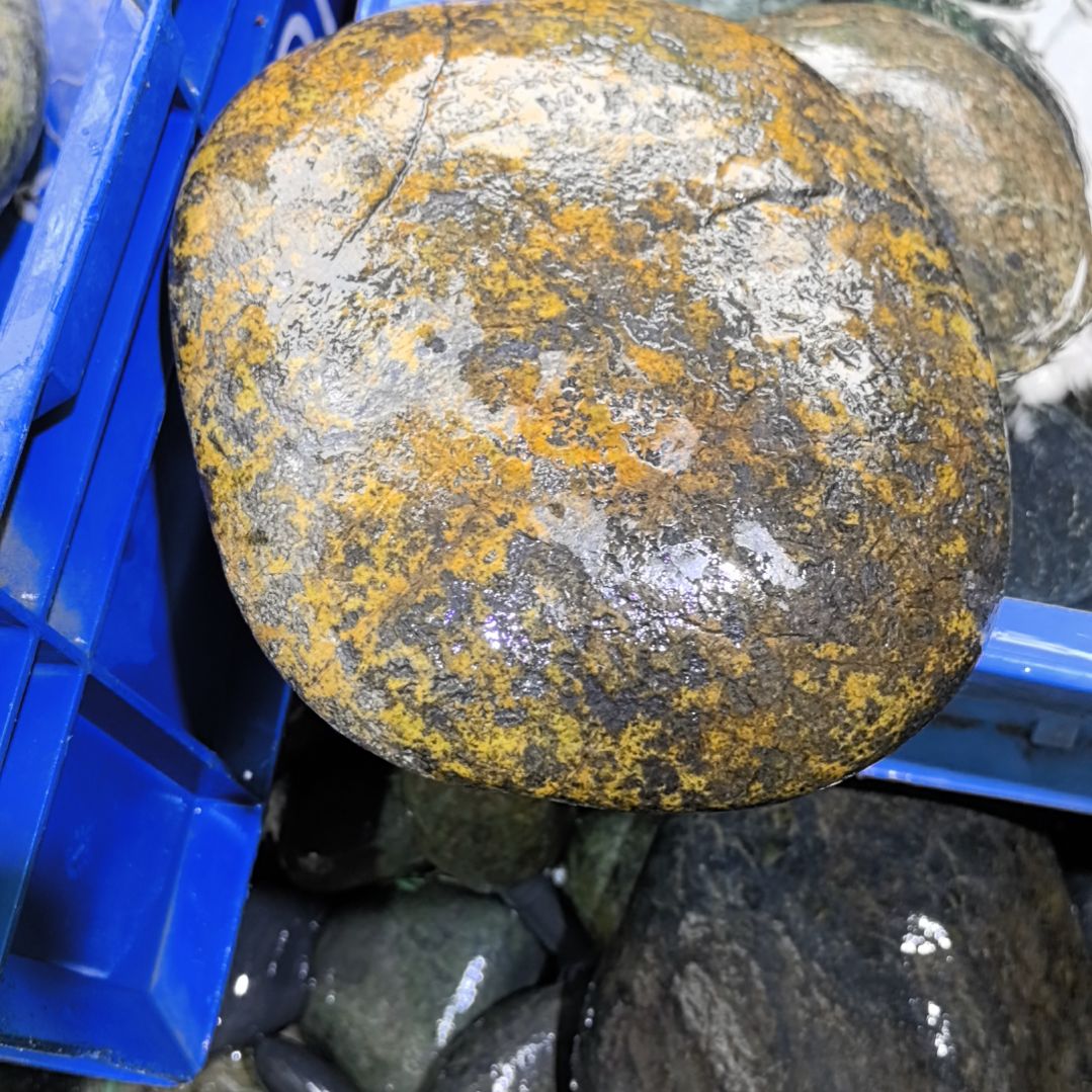 用***7藏玉药王石原石摆件一个