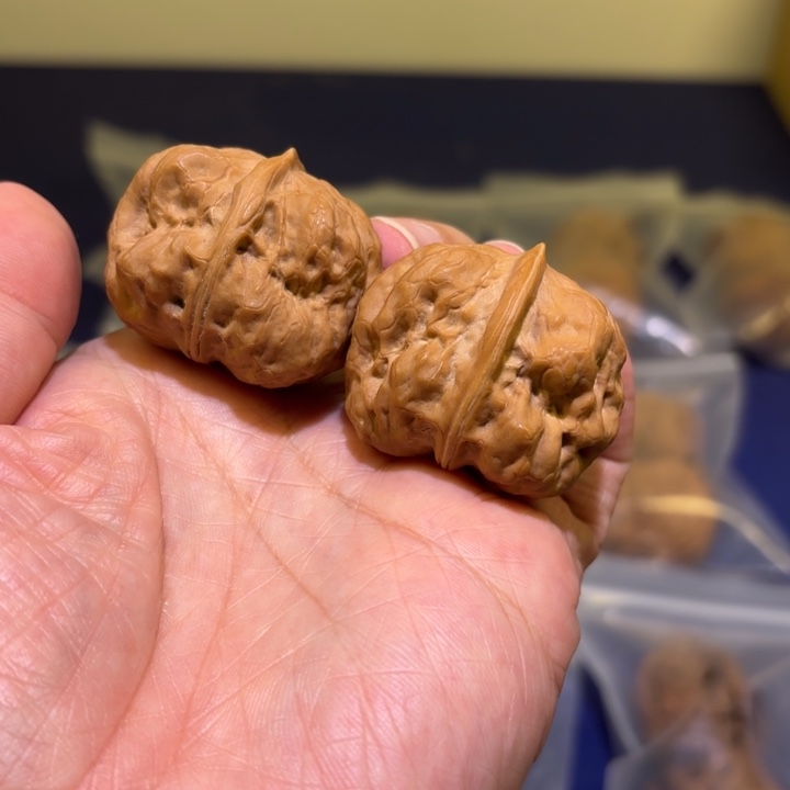 文玩核桃吊坠金蟾疙瘩包