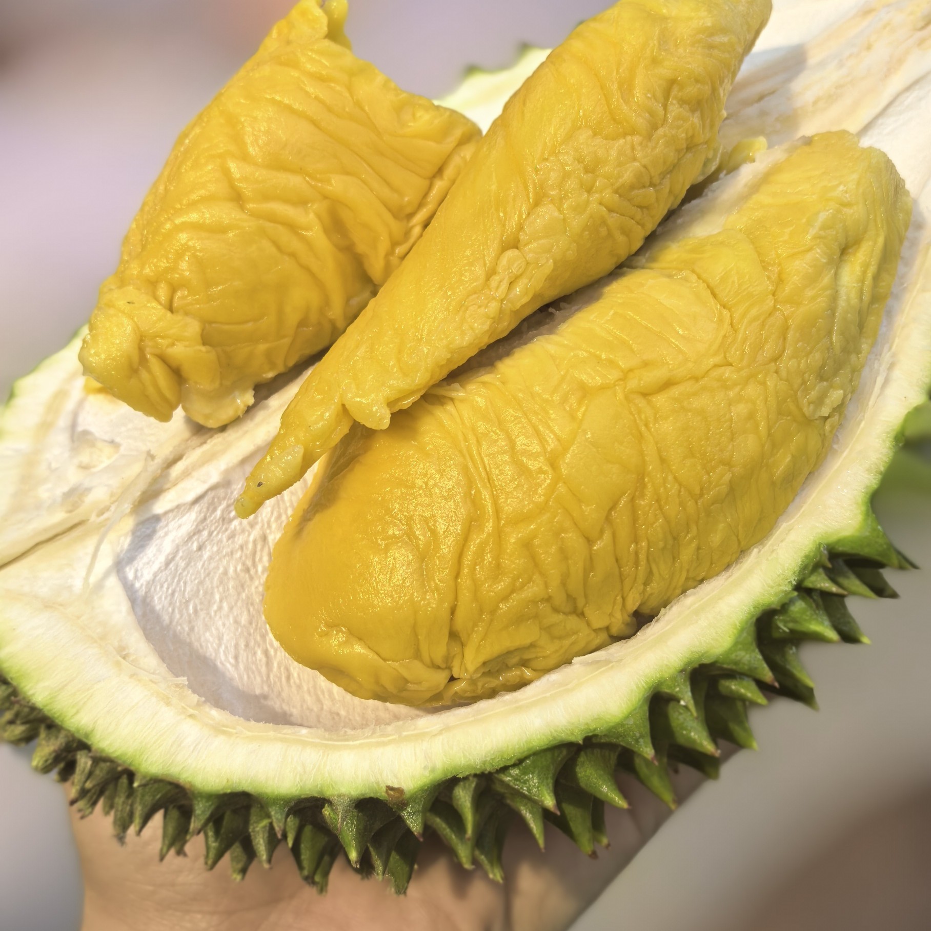 壹品榴鲜果马来西亚D197新鲜猫山王A果榴莲核小2-2.2公斤猫山王马来西亚