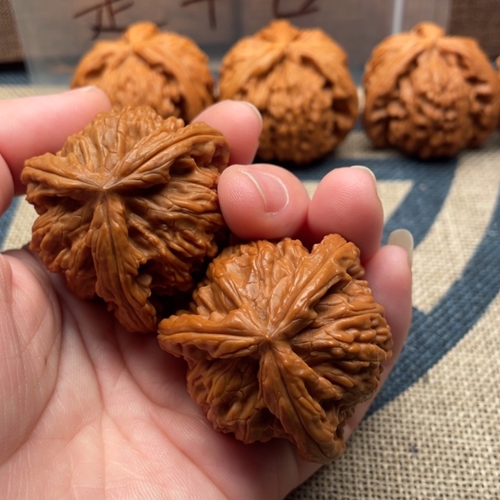 星***眠核桃白狮子41核桃