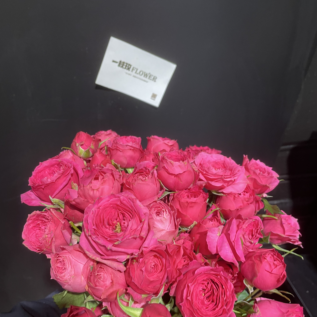 苏菲宝贝多头玫瑰新鲜花束同城发货家用客厅装饰