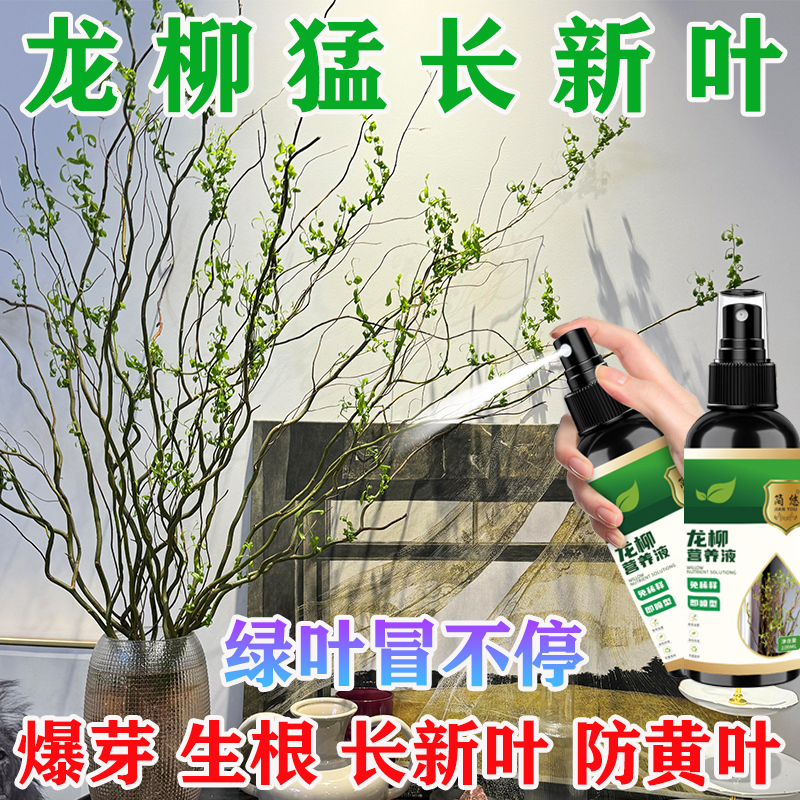 龙柳干枝营养液家用专治不发芽客厅促芽催花延长花期龙柳鲜枝水养