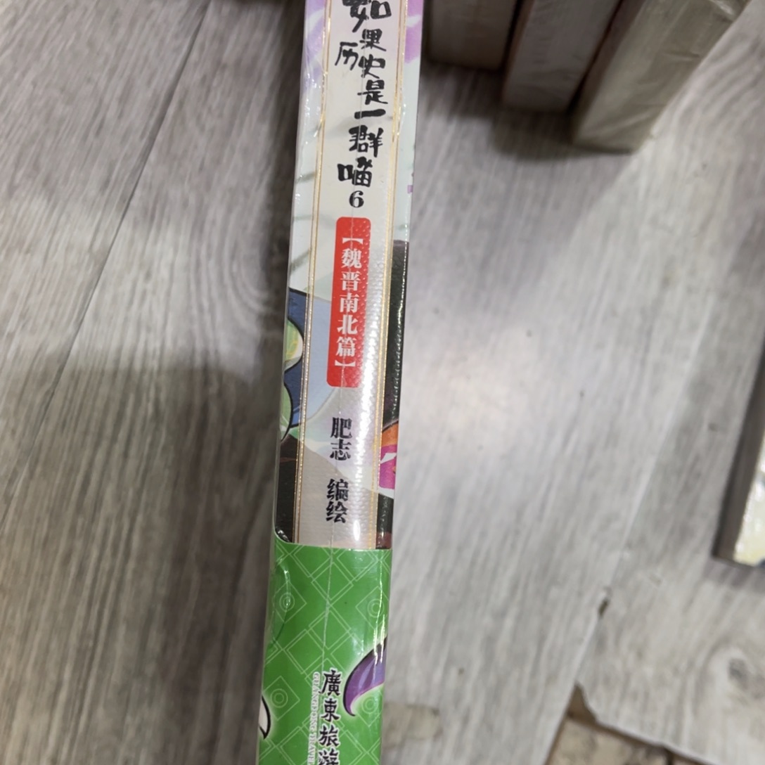 空***间如果历史是一群喵6