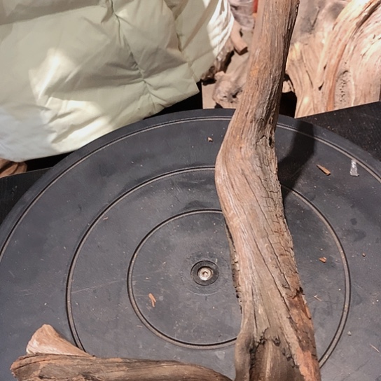 【闪购商品】柏木和*11111334344355