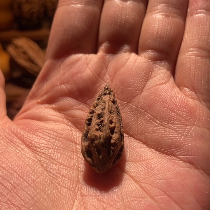 甜***瓜文玩核桃吊坠楸玥核110