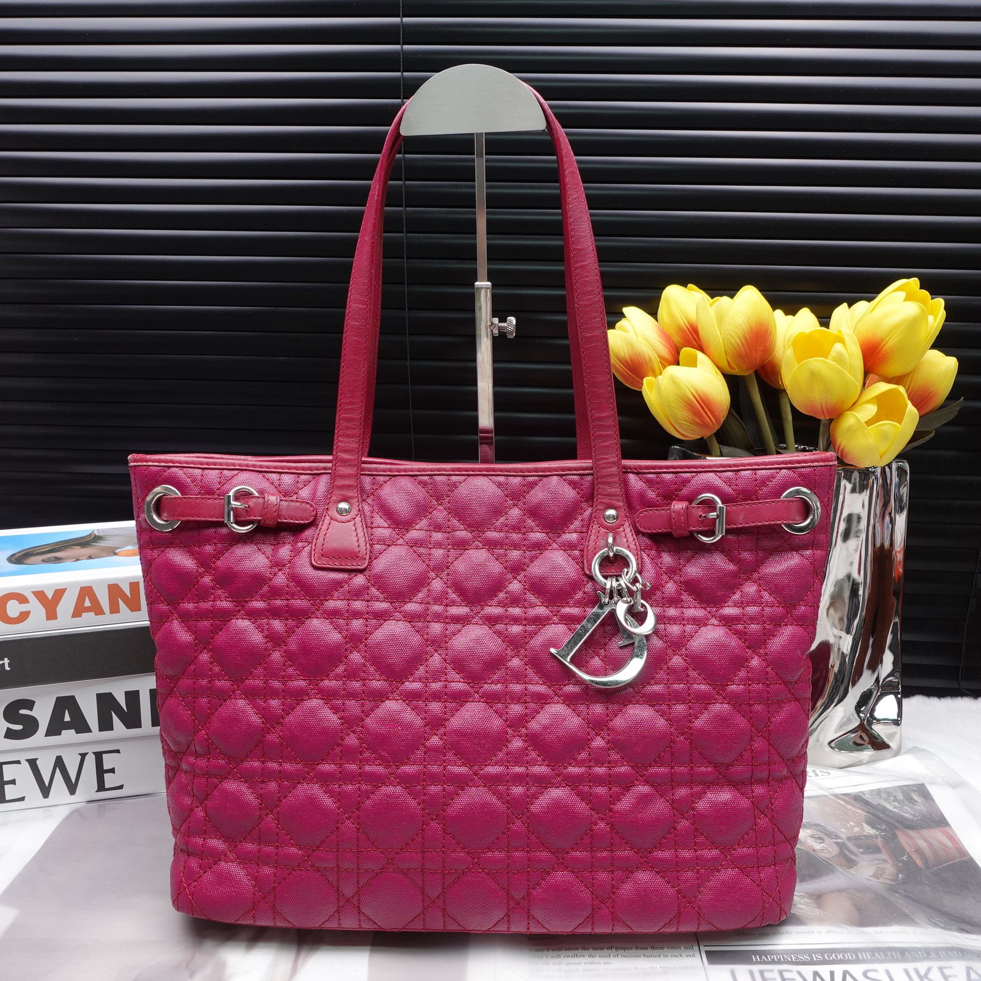 95新 DIOR/迪奥 单肩包/T10235487