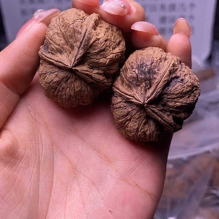 核桃云南野生铁核桃130号37mm