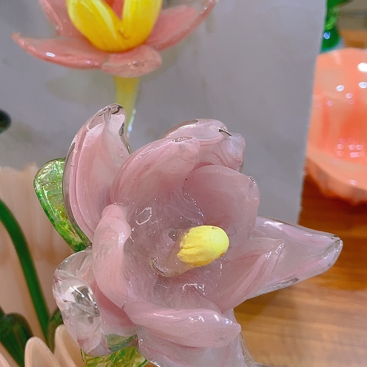 琉璃琉璃花高45口9