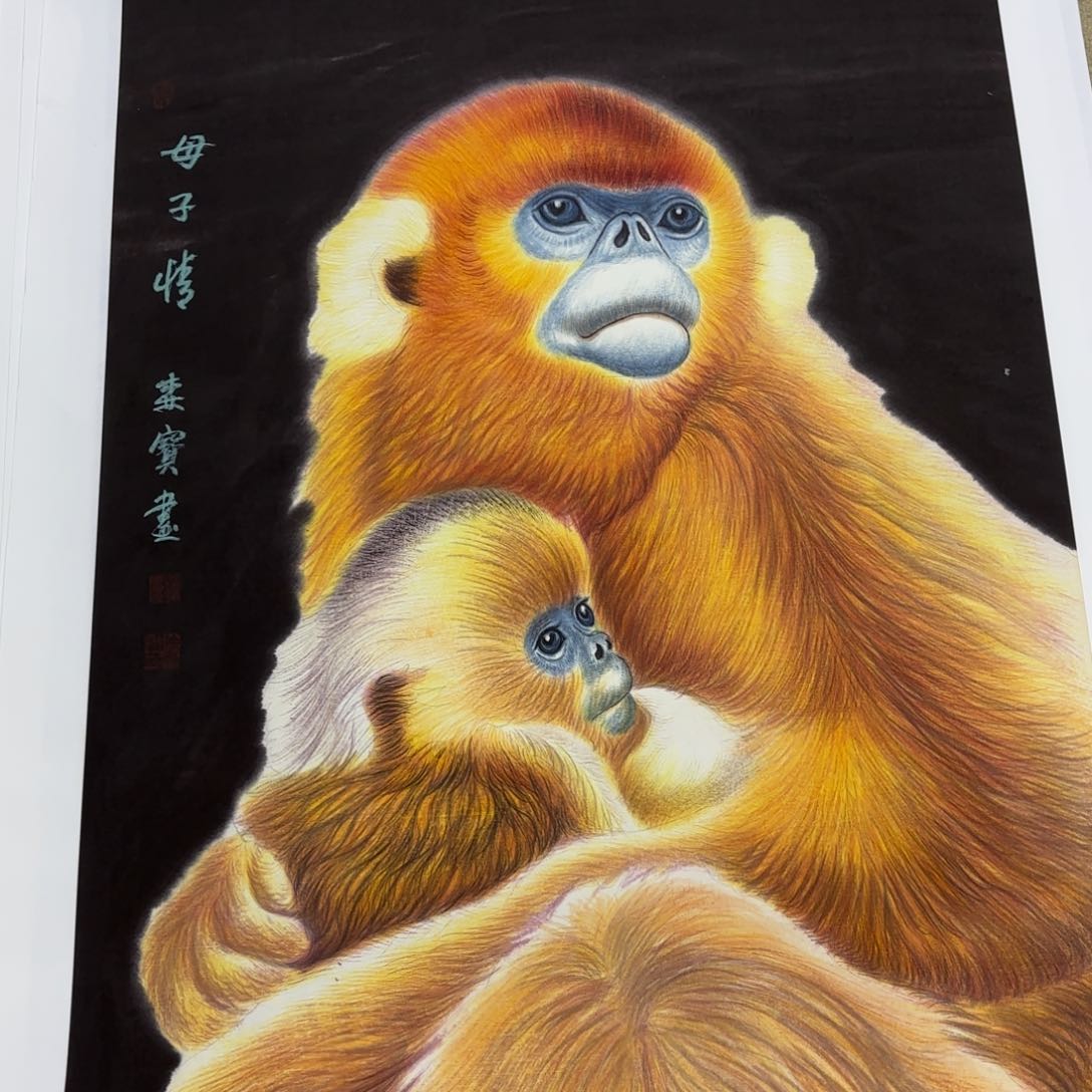 国画荣**活徐森宝李欣主播