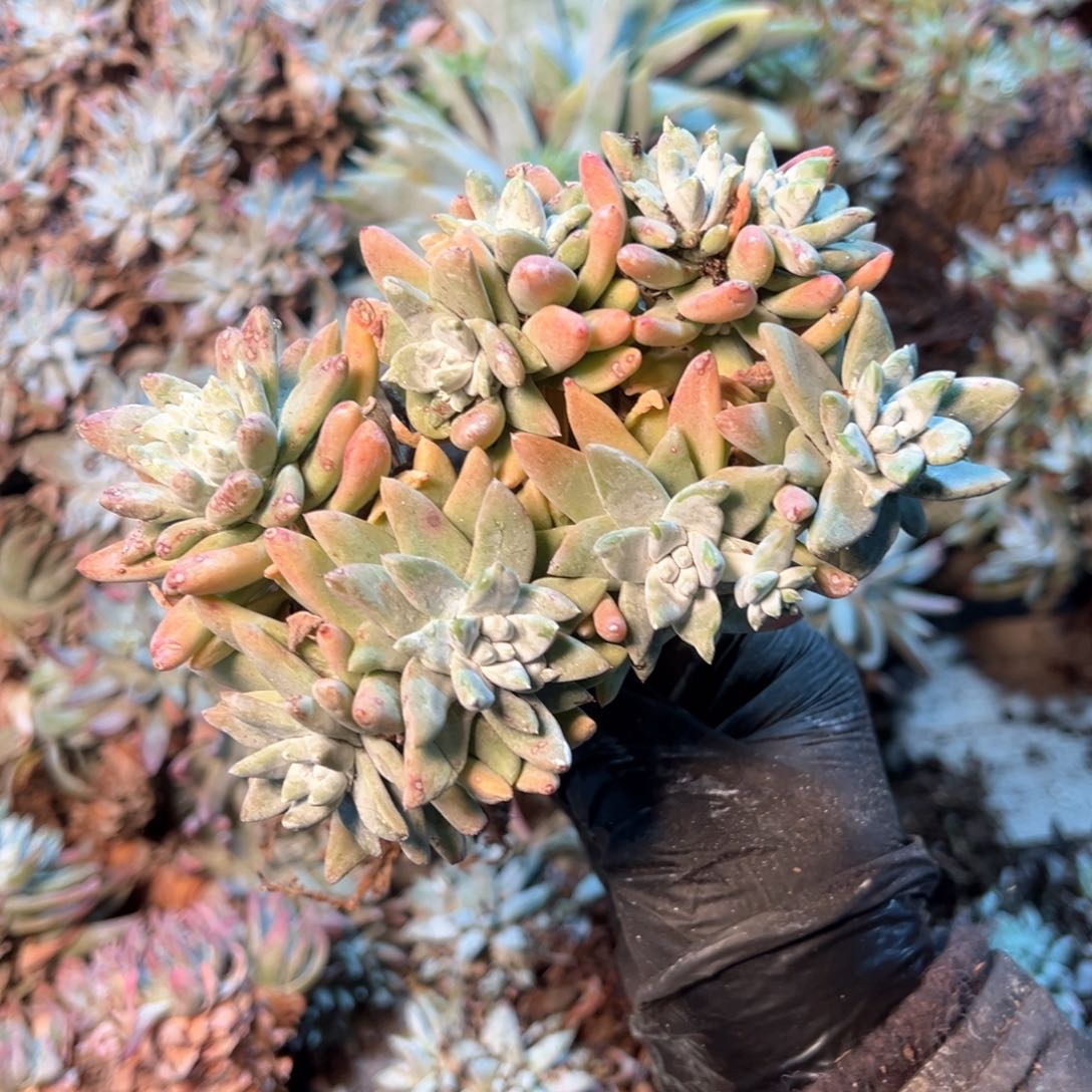 7823哈哈哈哈哈哈哈