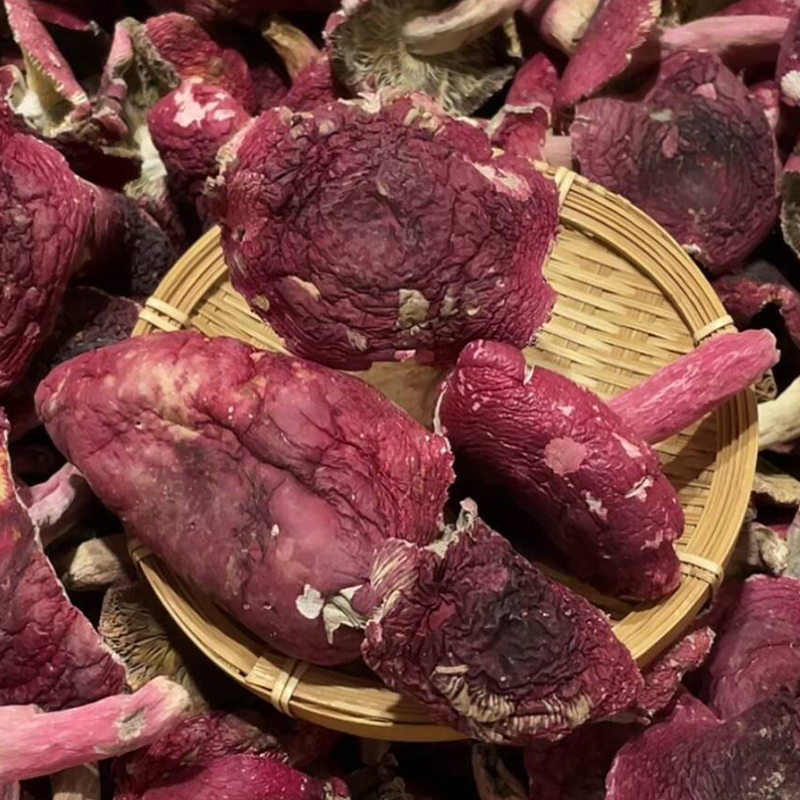 【大菇】新2025年干货 真的正红菇 云南红菇红面蓝灰底红蘑菇月子菇