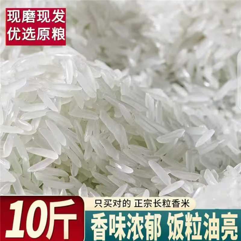 【到手十斤】农家不抛光不打蜡正宗长粒香米丝苗米煮饭清香口感软糯