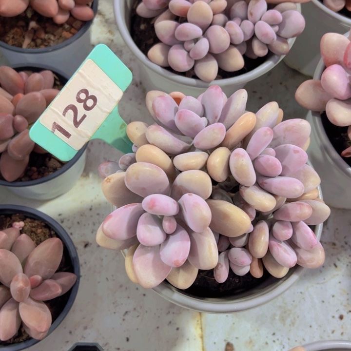 健健康康平平安安