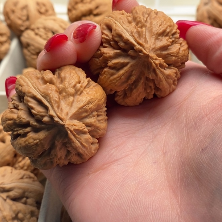 廣***霸王龙全品无修一刀没动