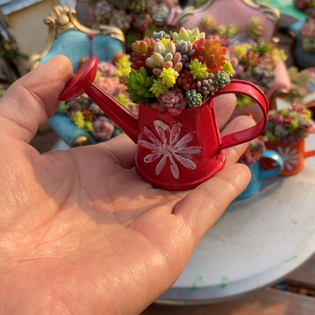 红色小水壶成品种好发货